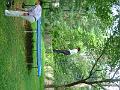 Kayte-s Summer Vacation 024